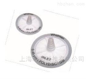 在线盘式滤器Polydisc GW