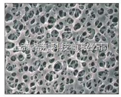 日本ADVANTEC疏水性膜