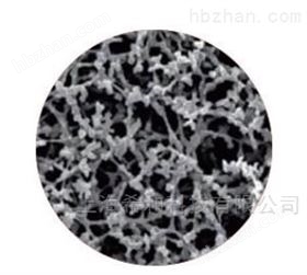 硝酸纤维素( NC 膜 )10401312  0.2um 微孔滤膜