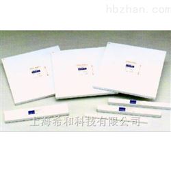 NO.51B 200×200MM-ADVANTEC色谱层析滤纸